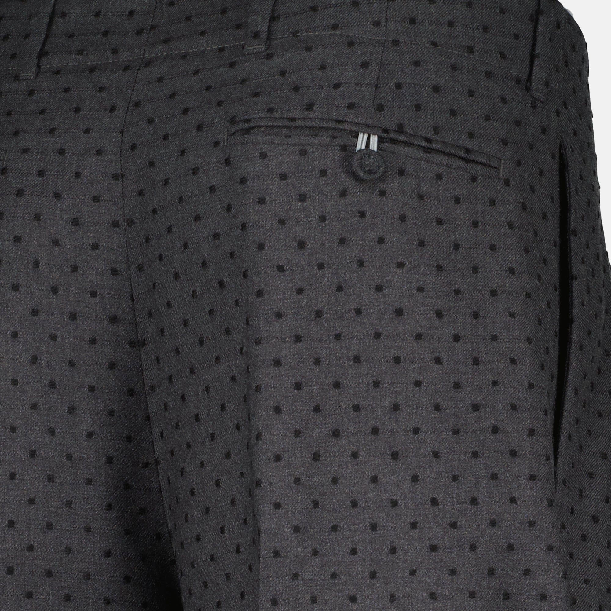 Pleated Pants