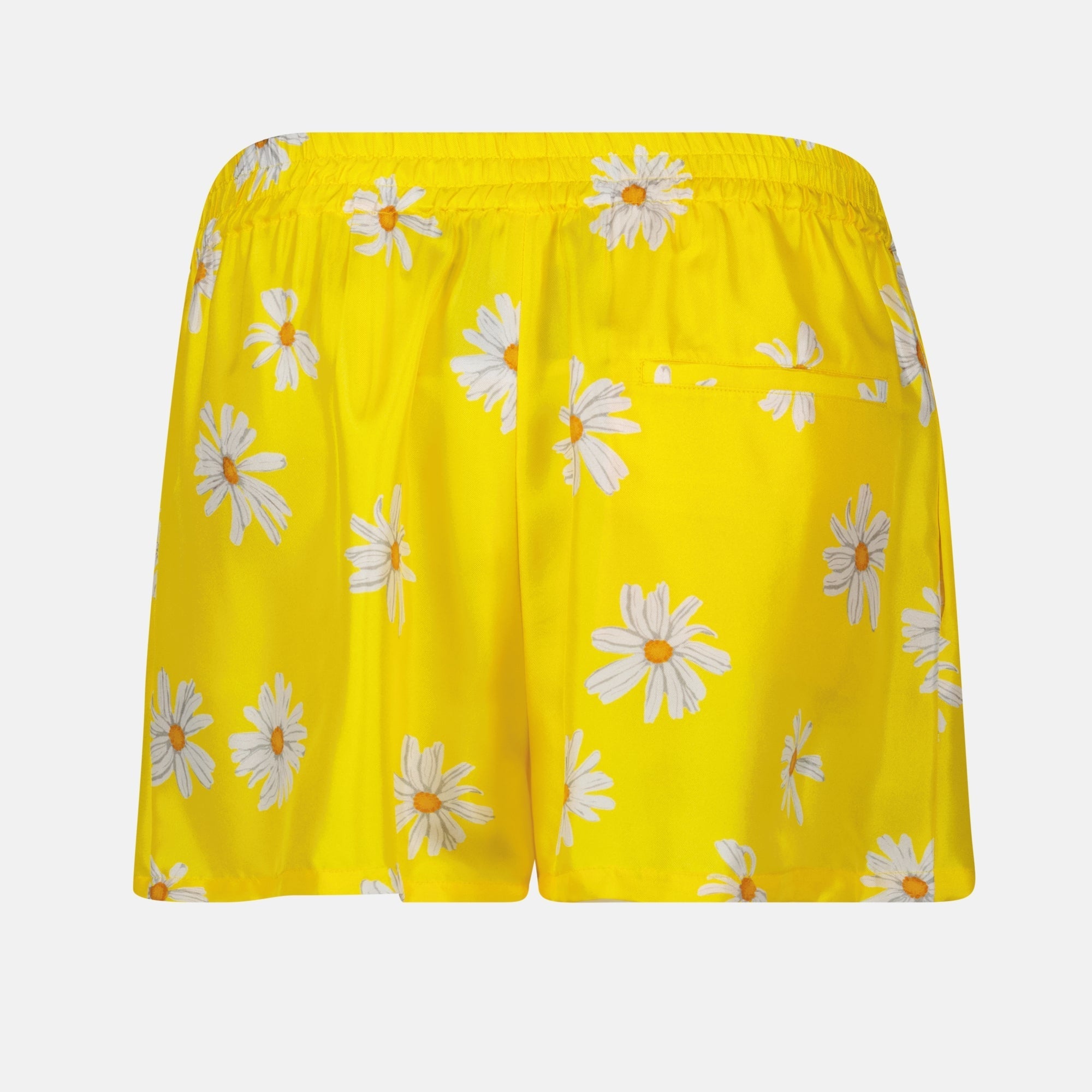 Short Marguerites