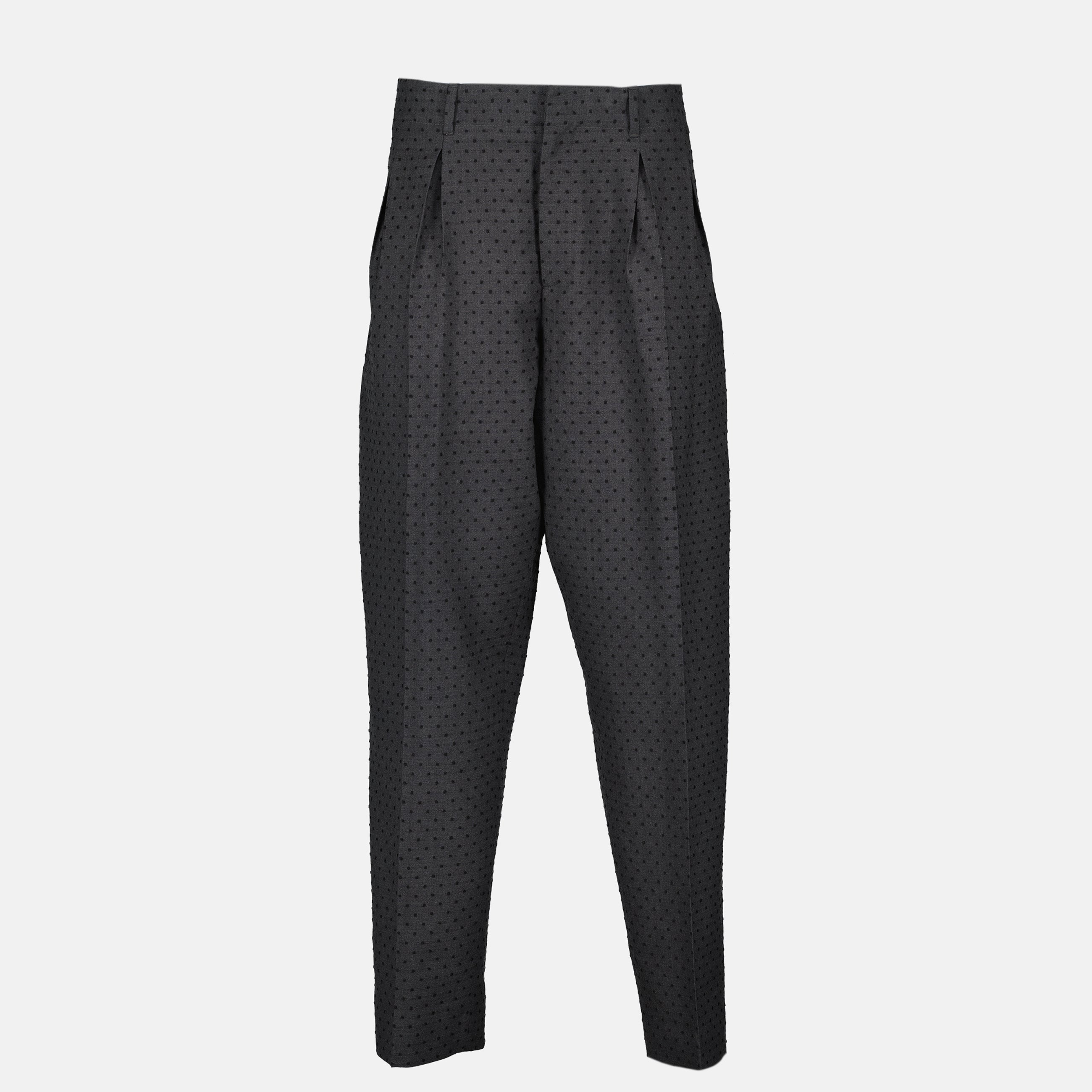 Pleated Pants