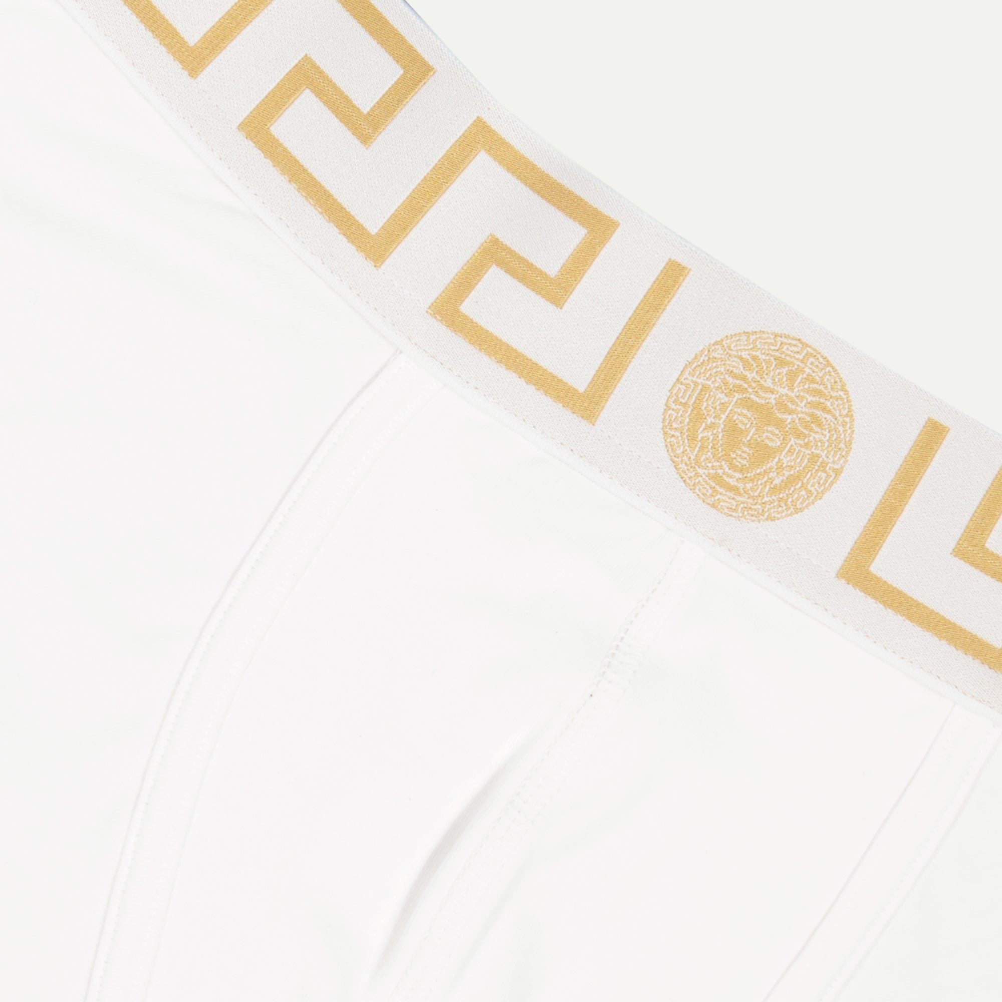 Medusa Greca Shorts